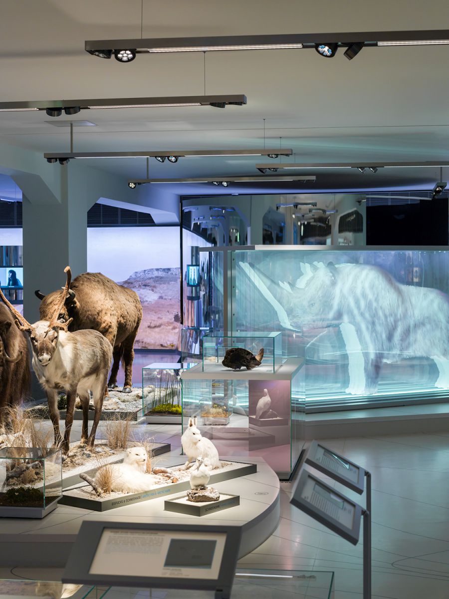 Museum Für Natur Und Umwelt Staatliches Museum für Archäologie Chemnitz - Eigenart Licht mit System